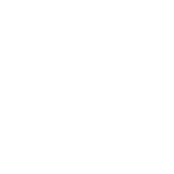 Consumer Electronics
